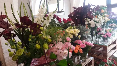 Kwiaciarnia na Chrobrego